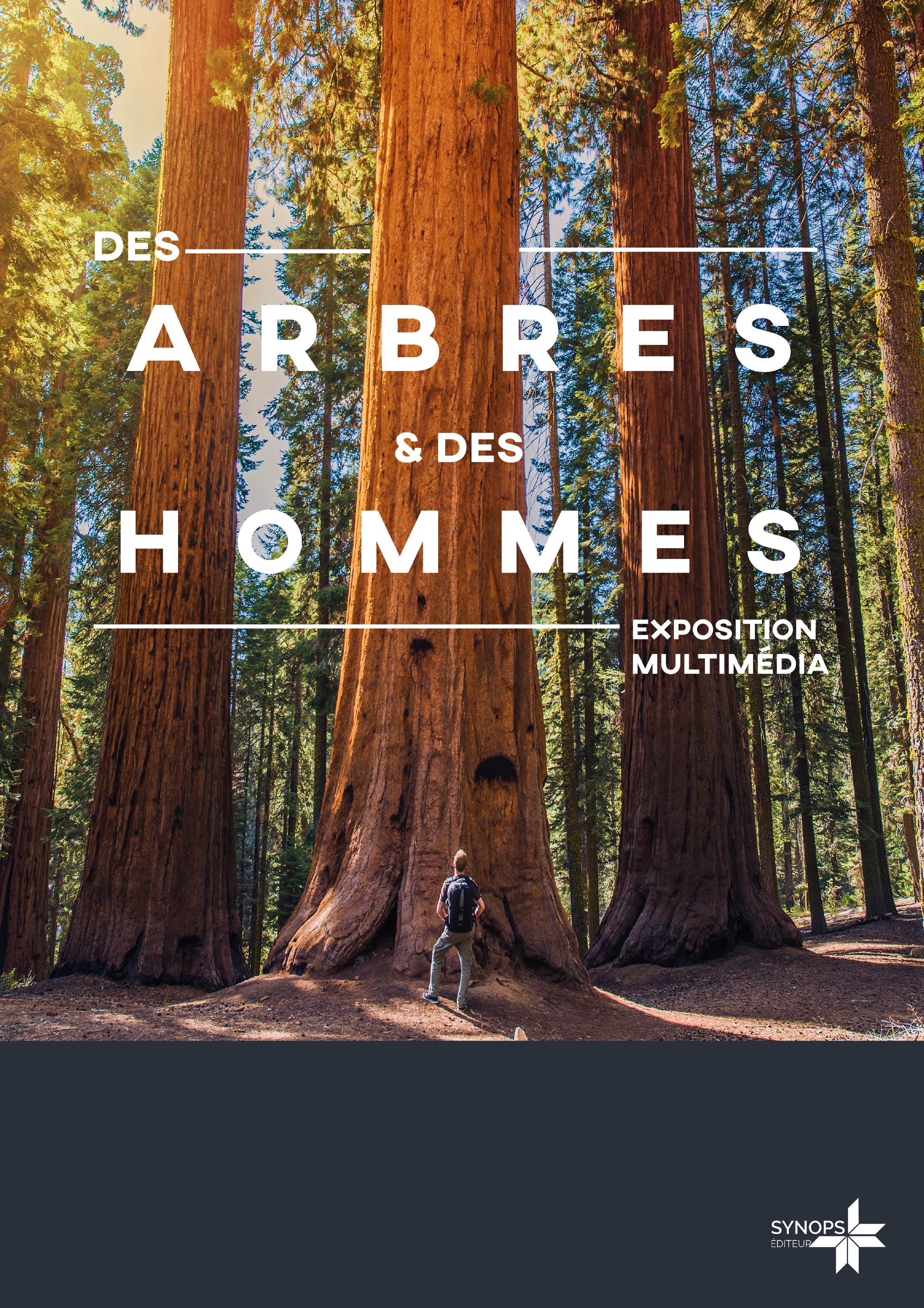 Des arbres et des hommes visuel.jpg